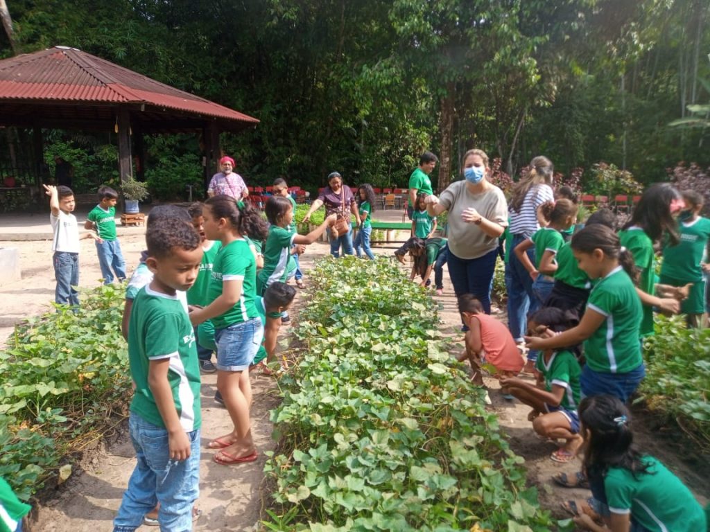 Junto com pais, professores e o presidente da Funbosque, Alickson Lopes, os alunos da Educação Infantil da Funbosque realizaram, nesta sexta-feira, 18, a colheita de cheiro verde, jambu, alface e batata doce, na Horta do Conhecimento